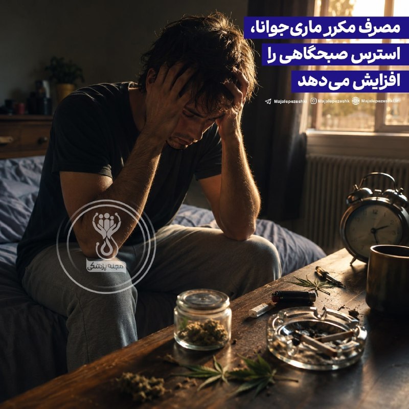 پزشک تلگرام: مصرف مکرر ماری‌جوانا، استرس صبحگاهی را افزایش می‌دهد⚠️◽️پژوهشگران دانشگاه ایالتی اورگن به این نتیجه رسیدند که افرادی که 