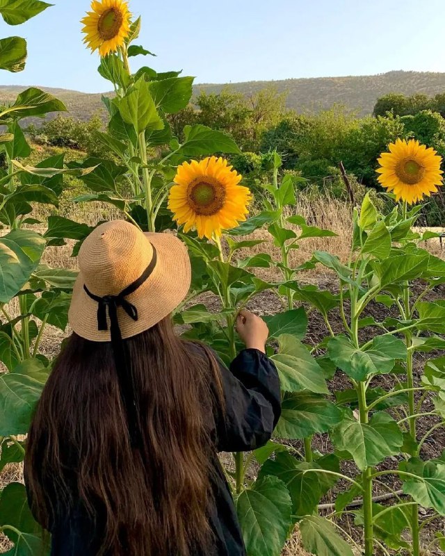 پـــــروفــایــݪ دخترونه💕🍃: #𝐏𝐑𝐎𝐅💕🍃𝐆𝐈𝐑𝐋👧🏻𝗝𝗼𝗶𝗻➪♥️|@profail_dokhtarone_s#