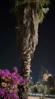 פג'ר תפילות ותחנונים במסגד אל-אקצא המבורך