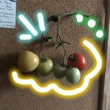 Nе Mогу поNять почеMу