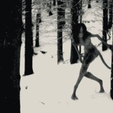 Берег