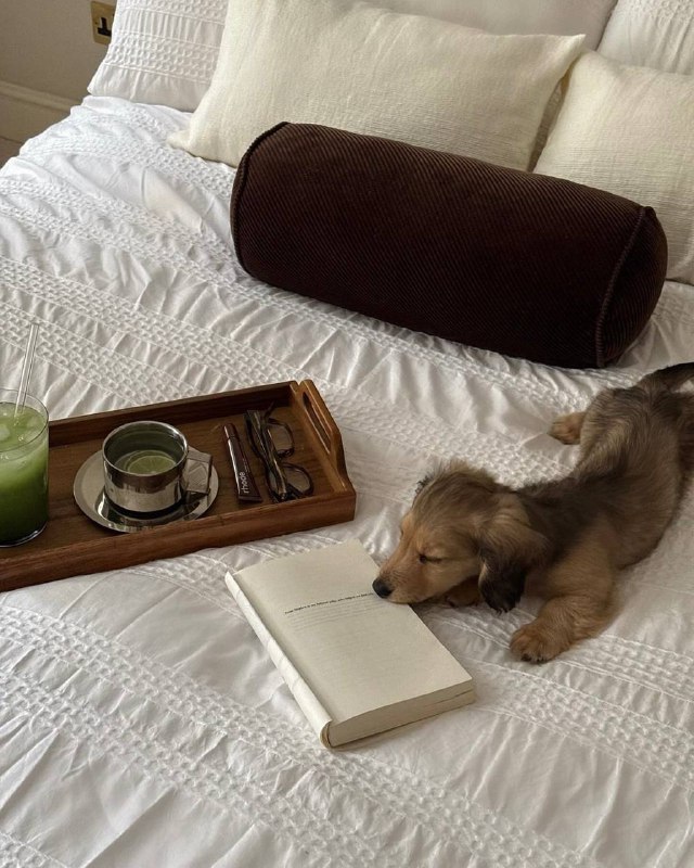 Очередная порция пушистых друзей в интерьере Please open Telegram to view this post VIEW IN TELEGRAM - изображение 7 - telegram, view, очередная