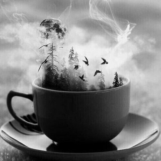 قارب النجّـاة Telegram Group Link