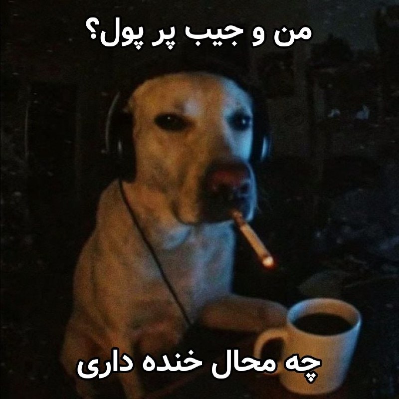 بارکُد||||: @barcod : 379