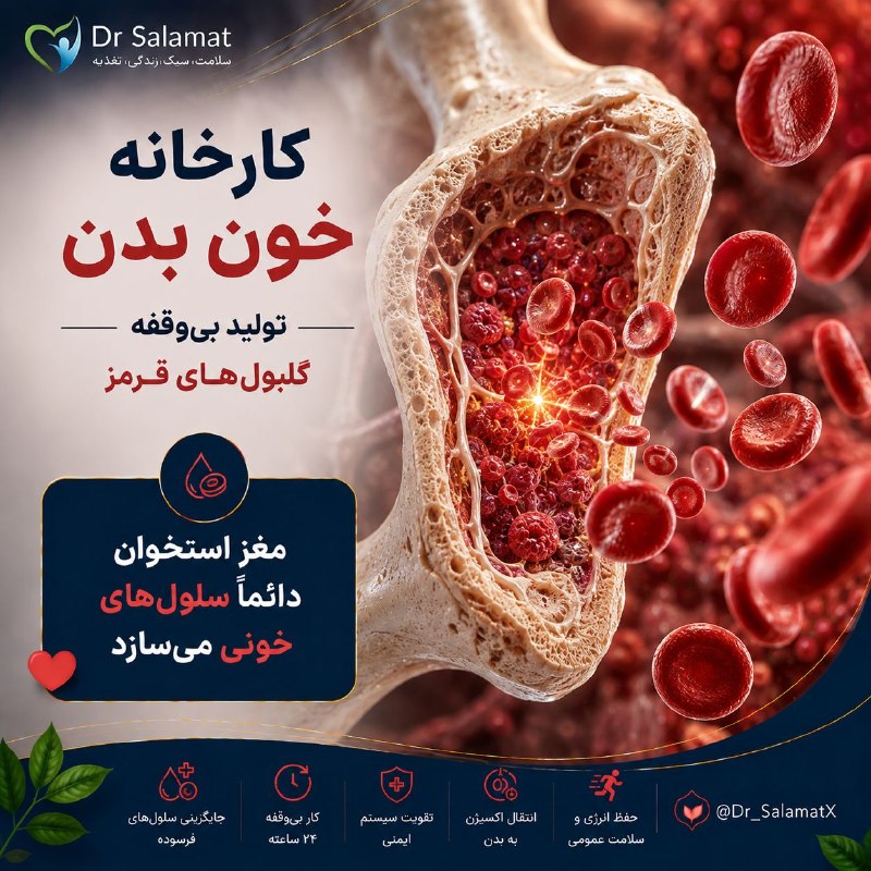 مــاســاژ و یــــوگــــا صورت، بدن تصویری: بدن هر ثانیه میلیون‌ها گلبول قرمز جدید می‌سازد مغز استخوان به‌طور مداوم سلول‌های خونی جدید تولید می‌کند تا جایگزین سلول‌