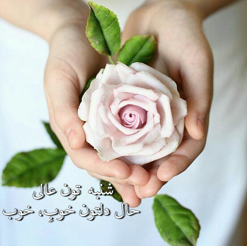 حس خوب: میگن اول هفته رو🌸هرجورےشروع کنی🌸تا اخرهفته همینجورےپیش میره🌸منم ازخدا میخوام🌸صبحتون عالی باشه🌸که تا اخرهفته🌸عالی ترپیش ب