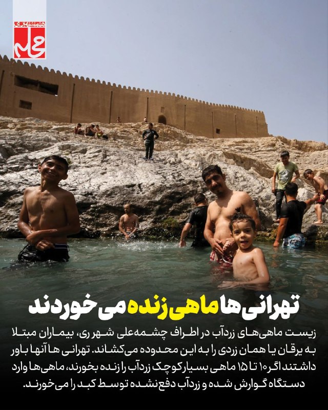 همشهری: 📷 وقتی تهرانیها ماهی زنده میخوردند!🔹پزشکان سنتی تهران به بیماران مبتلا به زردی توصیه می کرند بین ۱۰ تا ۱۵ ماهی زردآب ر