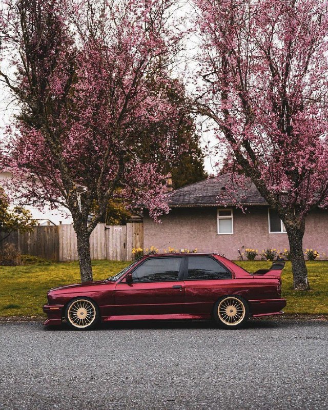 https://t.me/bmw_mpower_club