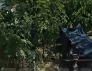 נהרג למען האמונה האורתודוקסית פיגוע טרור גדול באתיופיה. חמושים איסלאמיים תקפו כמה כפרים אורתודוקסים והרגו 4…