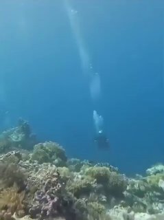 Как земетресение с магнитуд 7,2 изглежда под водата. Наука и факти