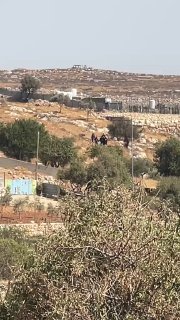 דחוף: מתנחלים תוקפים בתים בפאתי הכפר ברקה, מזרחית לרמאללה.