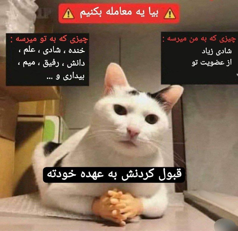 توییتی: وقت خود را با ما تلف کنید.این کانال شعبه دیگری نداریدhttps://t.me/+fXrgBn9fnK4wOGNk