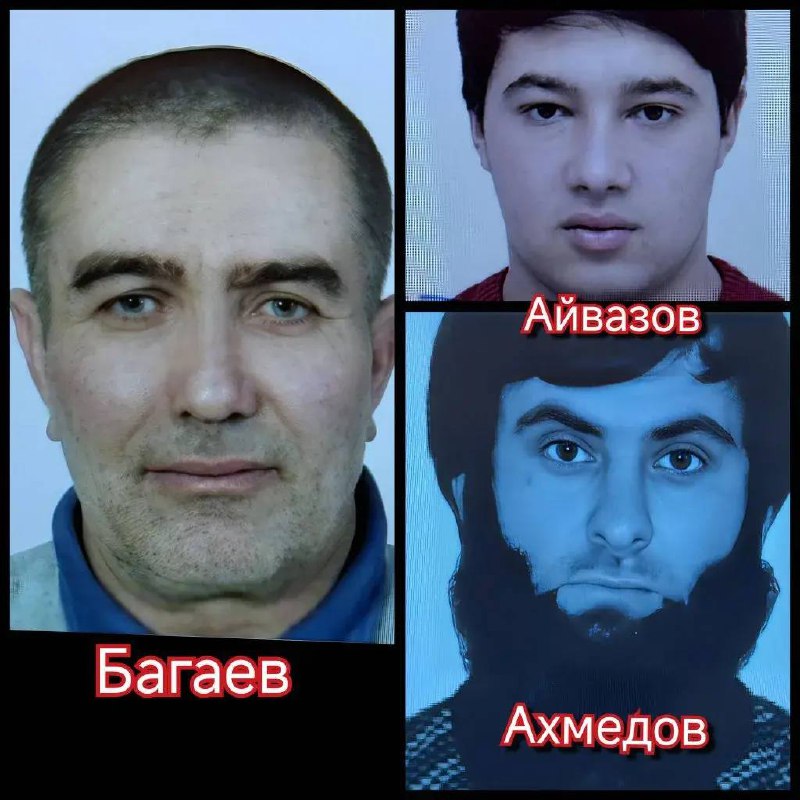 В решении Южного окружного военного суда (Ростов-на-Дону) гражданин одной из стран центральной Азии приговорён к 12 годам лишения свободы за участие в  фото