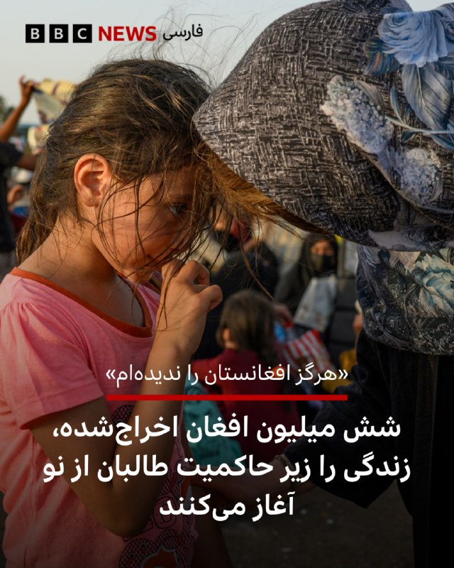 ליז יקרה