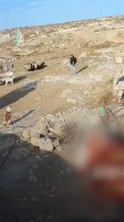 מתנחלים מסתערים על בתי תושבים באזור ח'רבת אל-ח'ראבה, מזרחית לעיירה אל-סמו, דרומית לחברון, ומשחררים את בעלי…