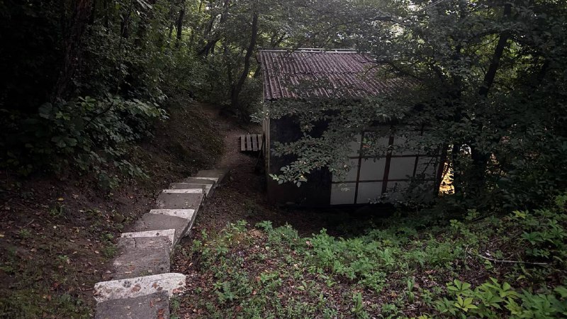 Дикий крайДикий край