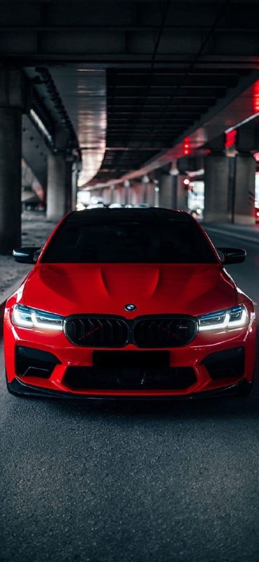 BMW M Powerhttps://t.me/bmw_mpower_club#bmw #mpower #bmwmpower #bmwworld #bmwmpo