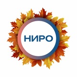 НИРО|Нижегородский институт развития образования