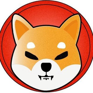 SHIBA TÜRKİYE