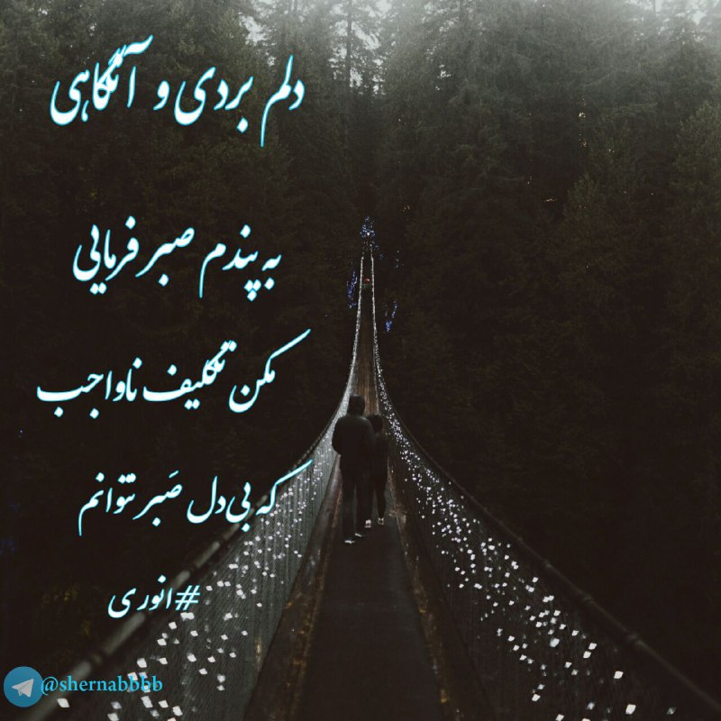 🍁شعـــرنــاب🍁: دلم بردی و آنگاهیبه پندم صبر فرماییمکن تکلیف ناواجبکه بیدل صَبر نتوانم #انوری🍁 @shernabbbb🍁