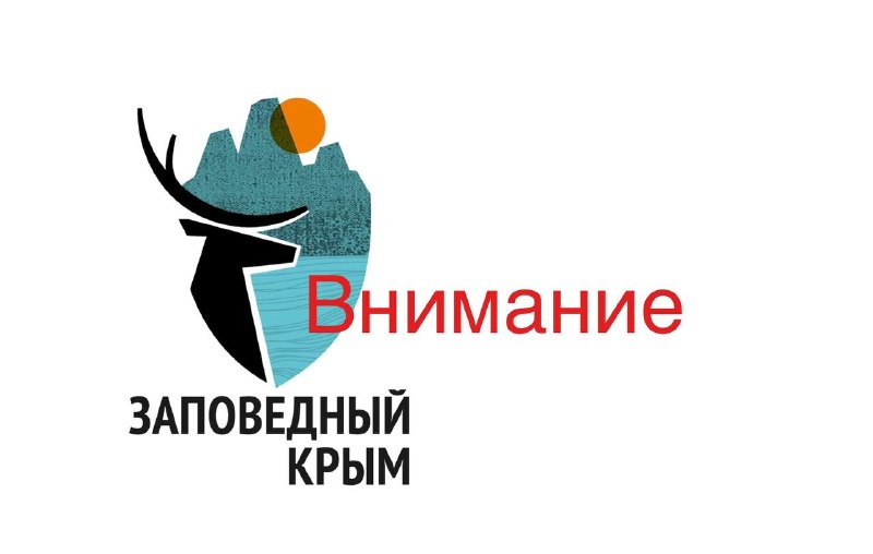 ‼️‼️‼️‼️‼️‼️‼️‼️‼️‼️‼️‼️‼️📣 ФГБУ «Заповедный Крым» уведомляет посетителей о введении огр… — Алуштинское ТурБюро