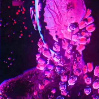(Не) Жрец