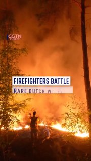 Firefighters battle rare Dutch wildfire through the night