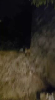 חריס מאז אחרי הזמן
