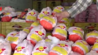 🎦 CEO of a support company for animal and poultry affairs inviting exporters from the private sector to export chicken: We will reduce the problems of the chicken producers.