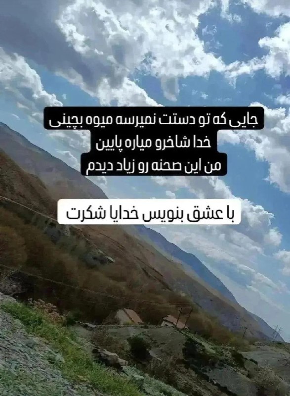 فال ارمنی قهوه و تاروت ساغر: رسانه پست