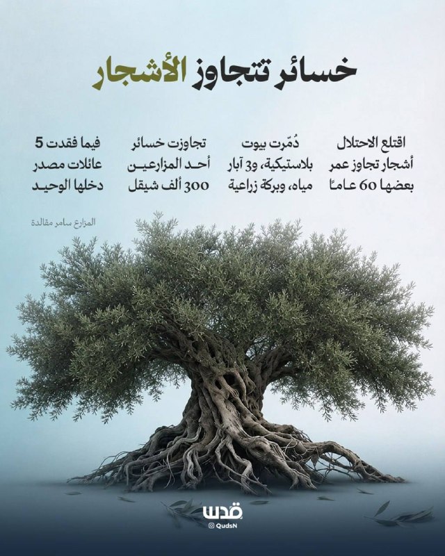 רשת חדשות ירושלים
