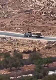 مستوطنون يسرقون أعلافاً من مزارعي المغير شمالي رام الله