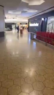 ירי בקניון פיירליין במישיגן: שלושה פצועים וחשש להרוג