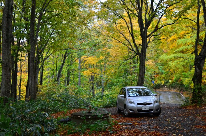 日本租車自駕經驗與教訓