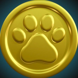 Telegram profile photo for NIKICOIN