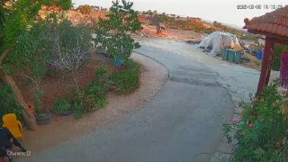 مستوطنون يقتحمون خربة مسعود قرب جنين