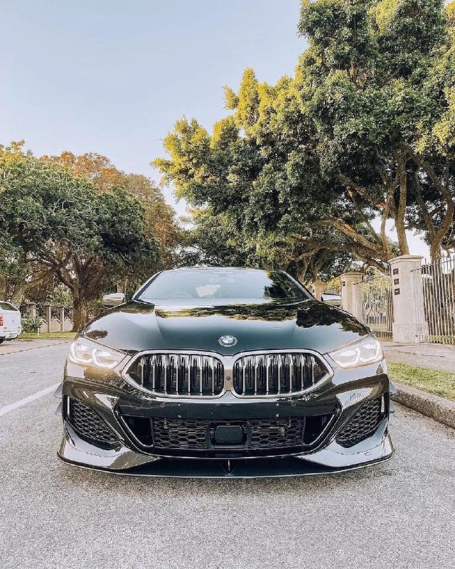 https://t.me/bmw_mpower_club