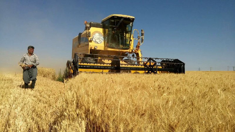شبکه اطلاع رسانی دانا: 📢 نایب‌رئیس کمیسیون کشاورزی در گفتگو با دانا:🌾 تاکنون ۱۷۵ هزار میلیارد تومان از مطالبات گندمکاران پرداخت شده💰 تا رقم ۵۰۰