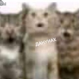 Кавай Кики [18+]