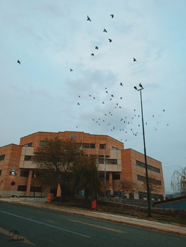 توییتر دانشجویی کردستان: ⚫️ إِنّا لِلّهِ وَ إِنّا إِلَیْهِ راجِعُونبا نهایت تأسف و تأثر و در برابر مشیت الهی، درگذشت دانشجوی رشته اقتصاد دانشگاه 