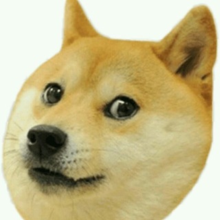 ♣️Easy Earn DOGE Telegram Group Link