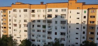 Ибнсино-2 4/8/9 свой (узимники)