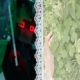一 ʙρᥙᥴκᥲᥴня 🤘