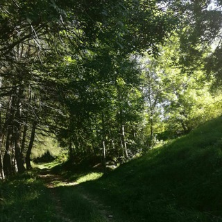 Cammini d'Italia e del Mondo Telegram Group Link