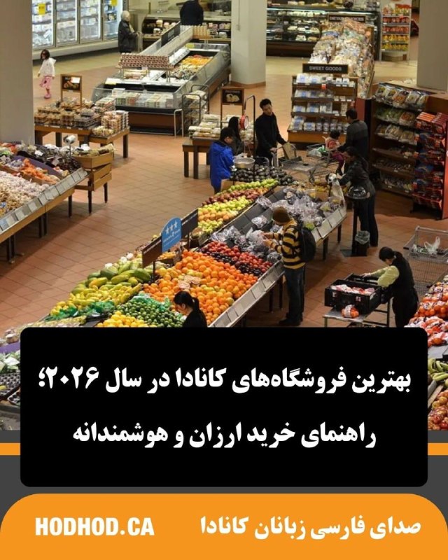 HodHod Media - رسانه هُدهُد: اگر میخواهید هزینه خریدهای روزمره را در کانادا بهتر مدیریت کنید، انتخاب فروشگاه مناسب اهمیت زیادی دارد.🛒 Walmart و Cost
