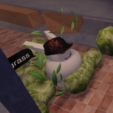 ヽ(´ー`)ノ🌱 трогать траву 🌱