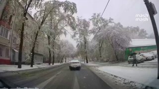 Трое взрослых и один ребёнок пострадали из-за упавших на них деревьев в Москве во время сильного снегопада.Дерево придавило несовершеннолетнего в Лефортово. Ещё падения зафиксировали в Северном Измайлово и Ростокино.❗ Не грузятся фото и видео? Читайте нас 