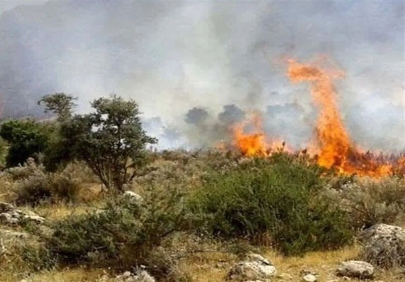 מבצעי השריפות המכוונות בשיראז ובקזרון נשלחו לכלא