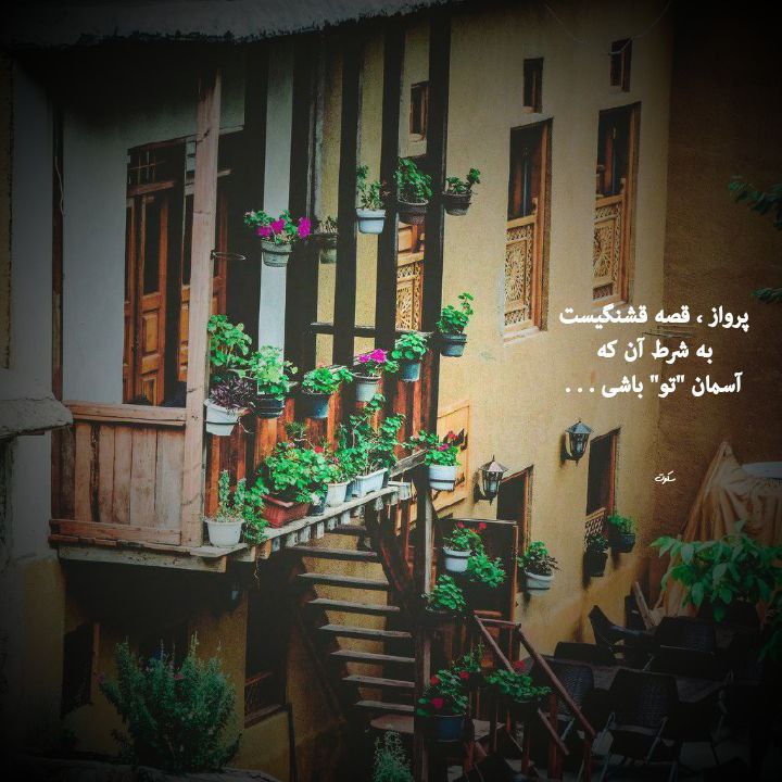 | .حالِ دِلَمـ . |: پرواز ، قصه قشنگیستبه شرط آن کهآسمان "تو" باشی . . .@my_he