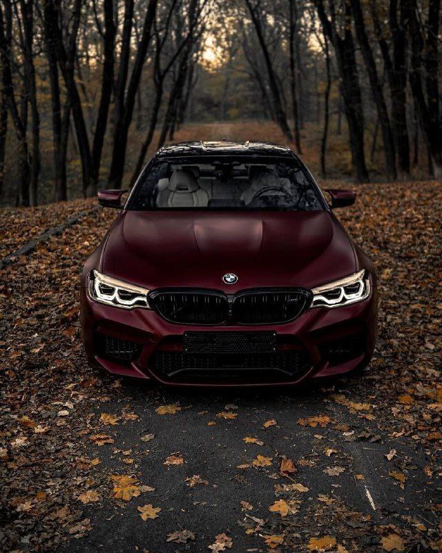 https://t.me/bmw_mpower_club